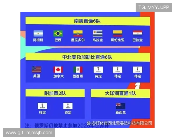 2026年世界杯晋级球队名单全景分析,哪些国家首次晋级,晋级过程中的亮点与挑战