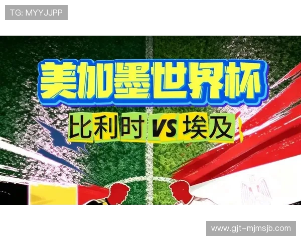 2026年世界杯比利时对阵埃及比赛前的风险提示与赛事安全保障措施